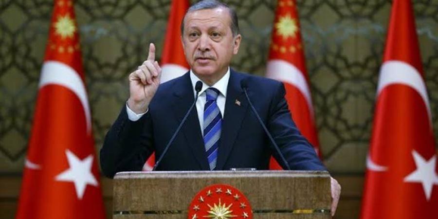 أردوغان: مستعدون لعملية إزالة الألغام من مضيق هرمز - المدينة برس