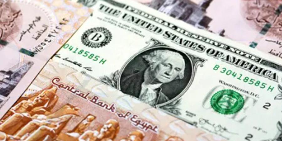 الدولار يتخطى 49 جنيها مجددا، هل يواصل الصعود في البنوك المصرية؟ - المدينة برس