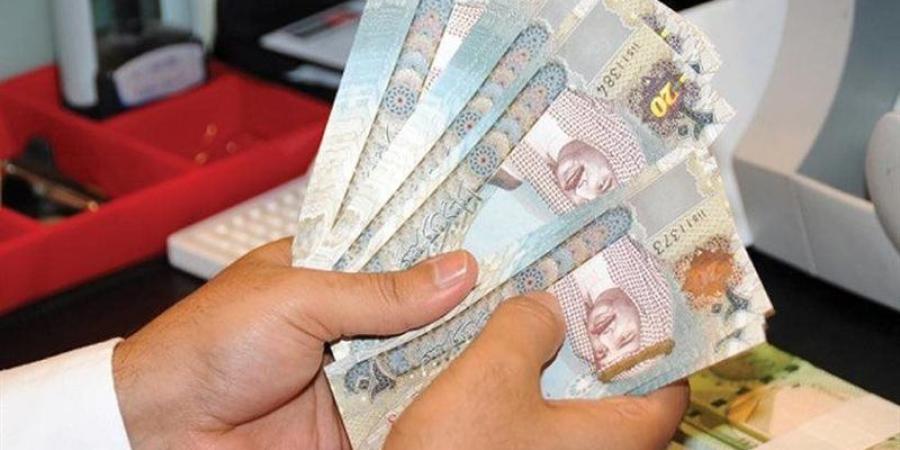 سعر الدينار البحريني مقابل الجنيه في بنك مصر اليوم الأربعاء - المدينة برس