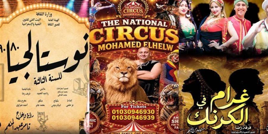 مواعيد عروض البيت الفني للفنون الشعبية في الموسم الصيفي بالمحافظات الساحلية - المدينة برس