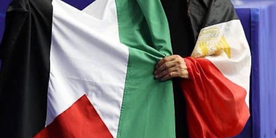 تفاصيل عقد حسام حسن الجديد وجهازه المعاون مع منتخب مصر - المدينة برس