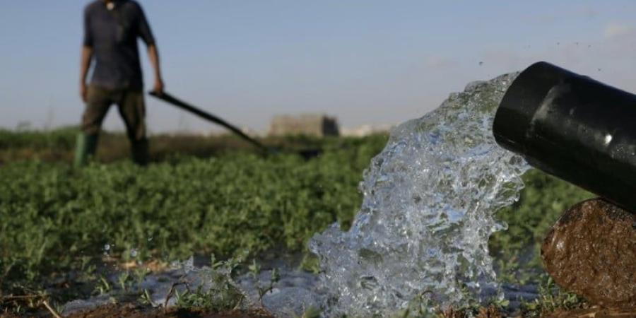 ارتفاع درجات الحرارة ونقص مياه السقي يهددان المحاصيل في العوامرة - بوابة المدينة برس