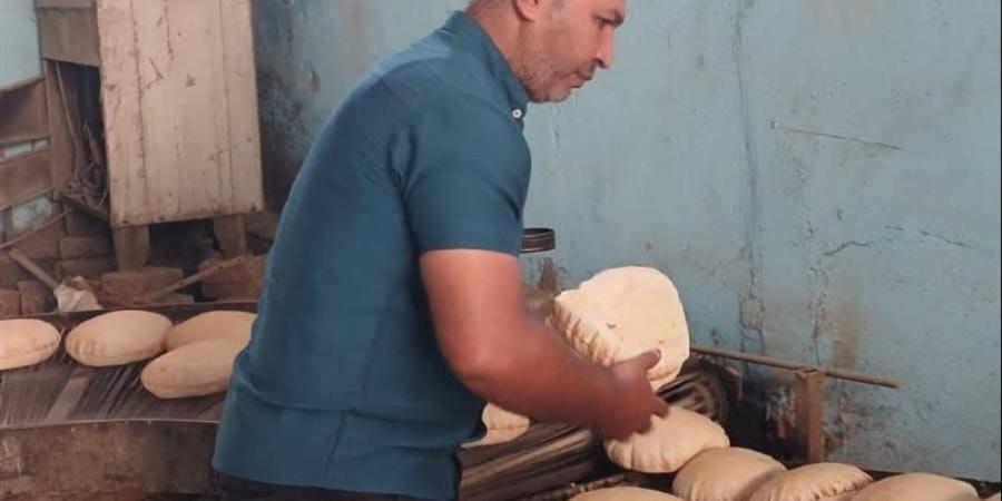 حملات مكثفة بدمياط تضبط مشروبات طاقة غير مصرح بها ومخالفات تموينية واسعة - المدينة برس