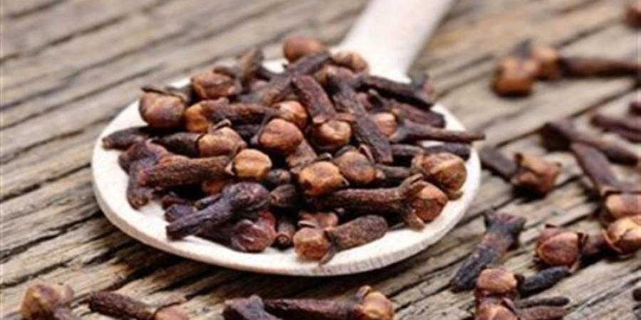 فوائد القرنفل في التخدير ومقاومة الفيروسات - المدينة برس