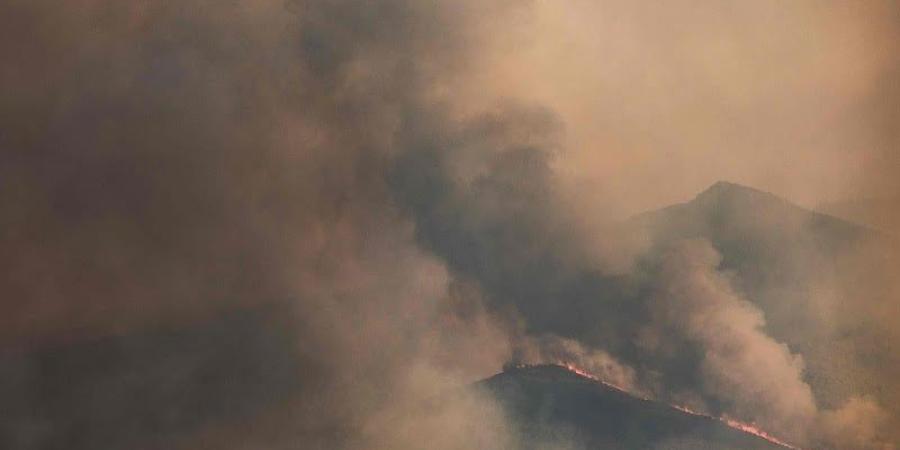 12 قتيلا في حريق غابات بجنوب إسبانيا - بوابة المدينة برس