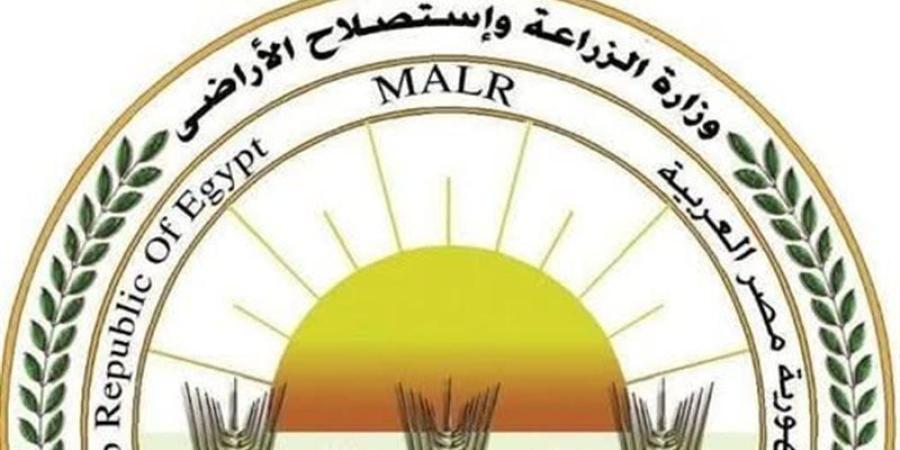 الزراعة: صرف 8 ملايين شيكارة أسمدة للمزارعين وحوكمة رقمية لضبط المنظومة - المدينة برس