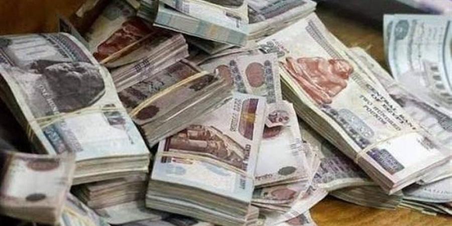 ضبط 6 ملايين جنيه حصيلة الاتجار في النقد الأجنبي - المدينة برس