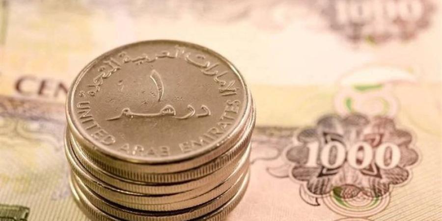آخر تطورات سعر الدرهم الإماراتي أمام الجنيه في البنوك المصرية - المدينة برس