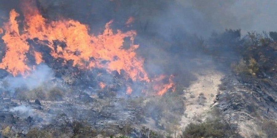 إسبانيا تتقدم في إخماد حريق الجنوب - بوابة المدينة برس