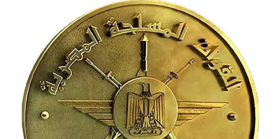القائد العام للقوات المسلحة يلتقى نائب رئيس الوزراء ووزير الدفاع الوطني بجمهورية الكونغو - المدينة برس