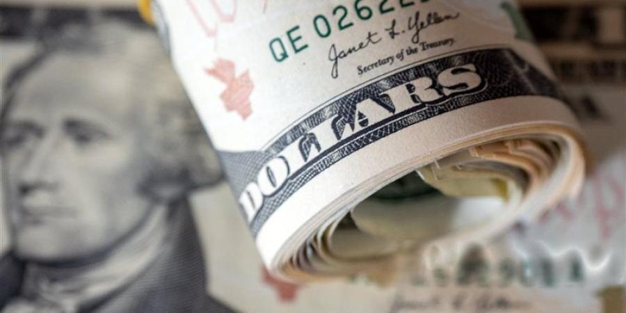 سعر الدولار أمام الجنيه بالبنوك المصرية اليوم 11 - 7 - 2026 - المدينة برس