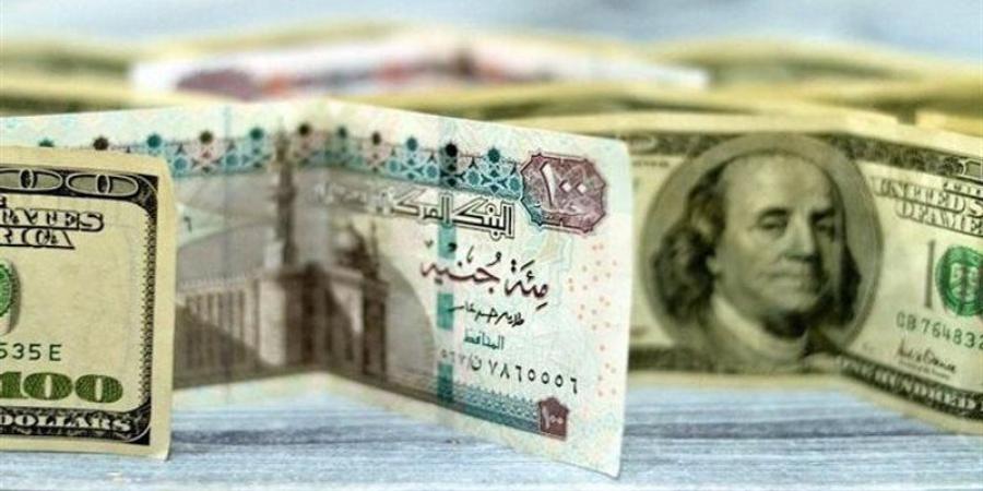 سعر الدولار أمام الجنيه في البنوك المصرية اليوم - المدينة برس