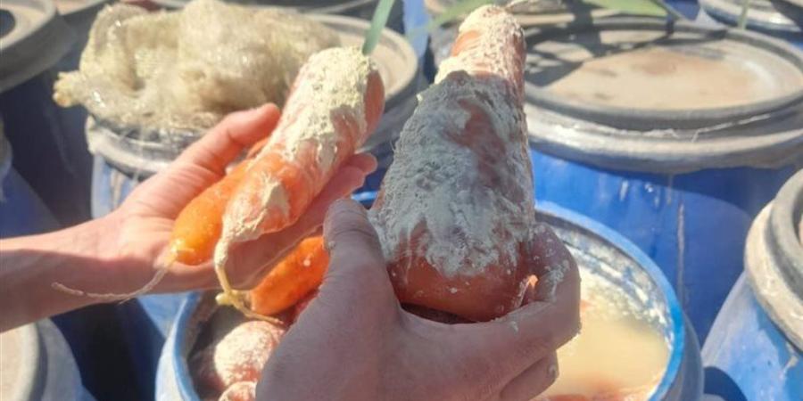 ضبط 12 طن أغذية فاسدة في البحيرة - المدينة برس