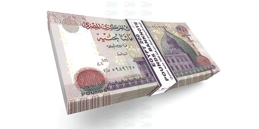 صافي أرباح بنك فيصل الإسلامي تتراجع 10.5% لتسجل 3.88 مليار جنيه بنهاية يونيو 2026 - بوابة المدينة برس