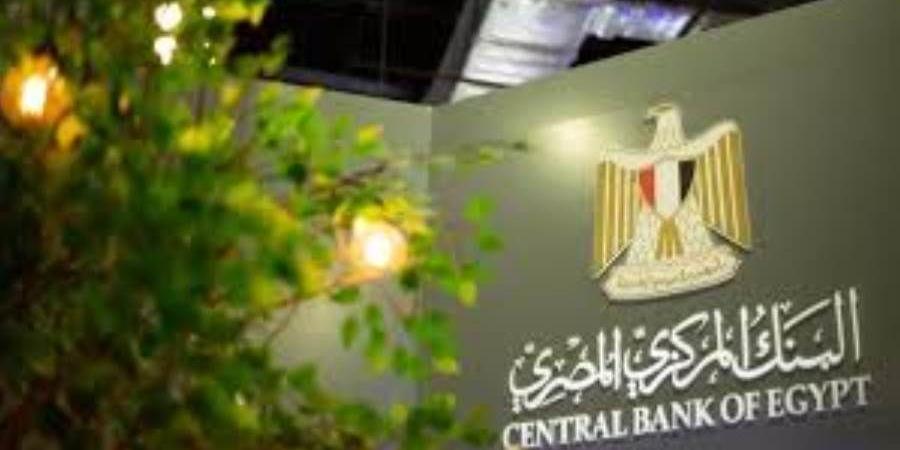 البنك المركزي: ميزان المدفوعات يحقق تحسنًا في العجز الكلي بمعدل 2.9% خلال 9 أشهر - بوابة المدينة برس