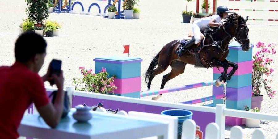 "دار السلام" بالرباط تحتضن منافسات النسخة 41 من "أسبوع الفرس" - بوابة المدينة برس