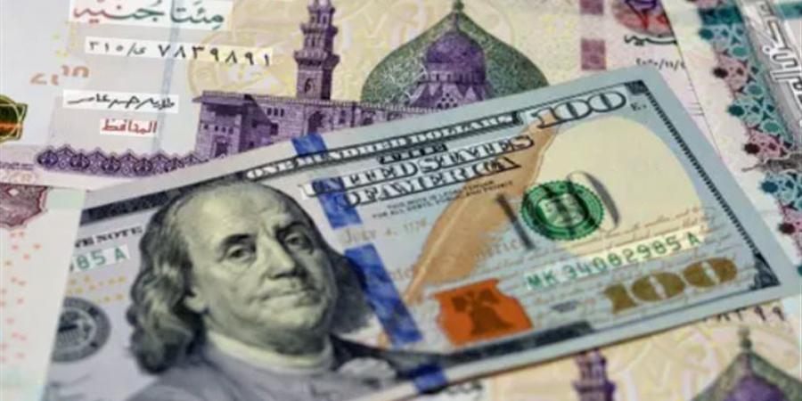 يلامس الـ 50 جنيها، سعر الدولار في البنوك المصرية ببداية تعاملات اليوم - المدينة برس