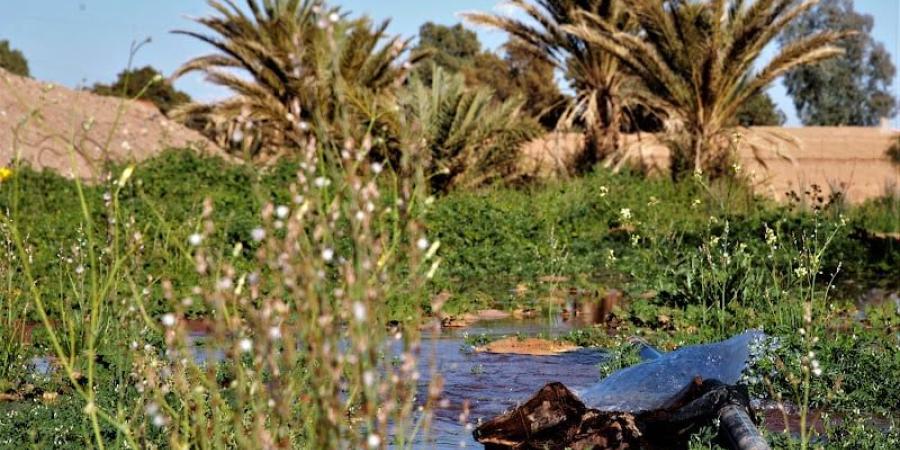 توقعات طقس اليوم الاثنين في المغرب - بوابة المدينة برس