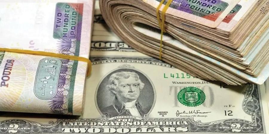 الدولار في مصر يتجاوز 50 جنيهاً مجدداً - بوابة المدينة برس