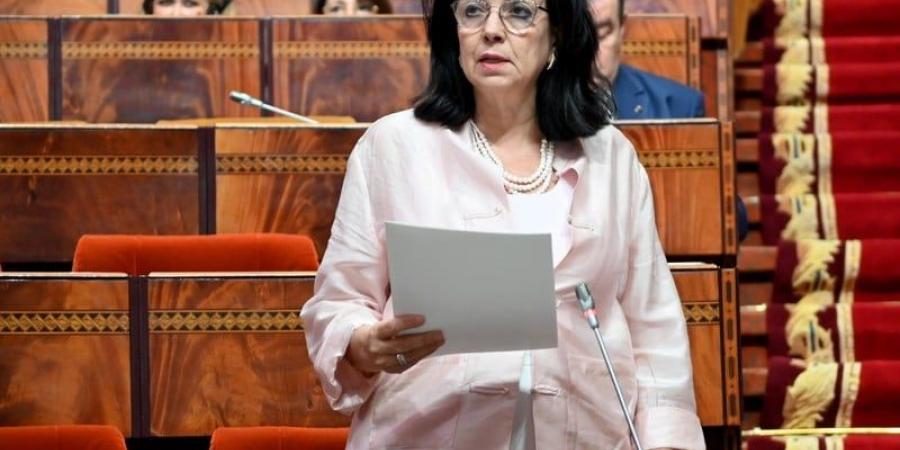 نواب يطلبون تعميم الإنترنت بالقرى - بوابة المدينة برس