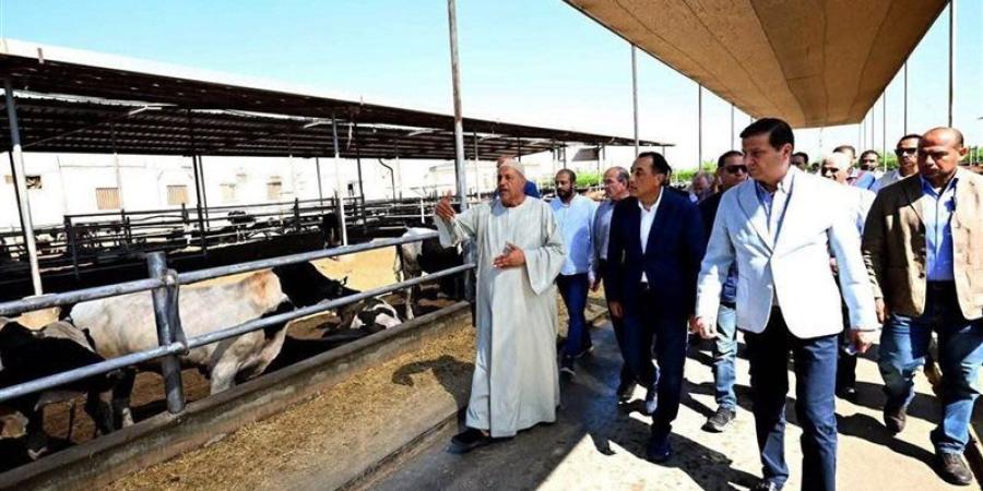 رئيس الوزراء: الأمن الغذائي وتنمية الثروة الحيوانية ضمن الأولويات الاستراتيجية للدولة - المدينة برس