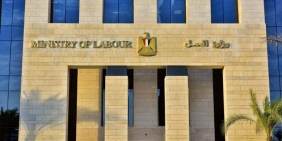تنفيذا لتوجيهات الرئيس، وزارة العمل توجه رسالة عاجلة إلى المستثمرين - المدينة برس