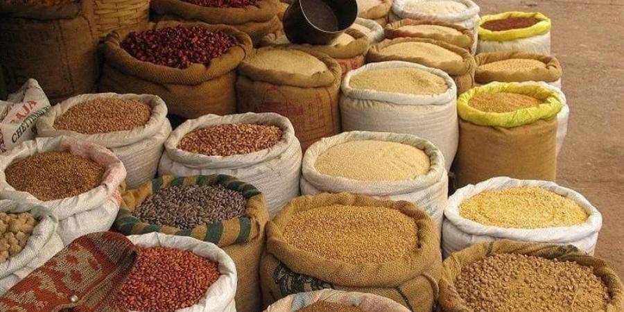 ارتفاع الذرة والصويا والجلوتين، أسعار الأعلاف والحبوب اليوم في الأسواق - المدينة برس