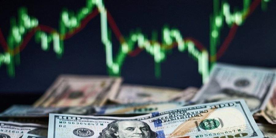 بين فخ المخزون القديم وحسابات التجار.. المستهلك يدفع فاتورة تذبذب العملة.. خيارات صعبة أمام المصنعين لامتصاص "صدمة الدولار".. وسلاسل الإمداد في مهب الريح - المدينة برس
