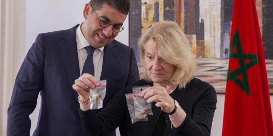 المغرب يسترجع "أسنان ديناصورات" - بوابة المدينة برس