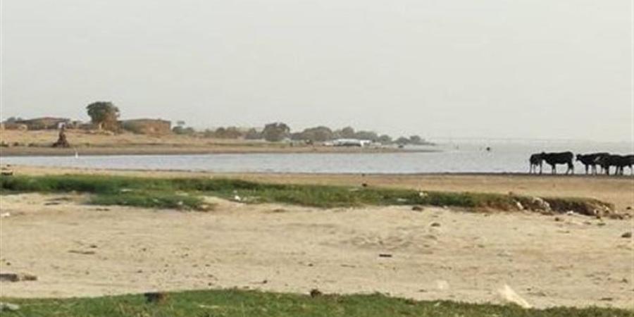 مصر تمر بسنوات قحط، خبير: أنهار السودان جفت وإثيوبيا تمنع تدفق المياه لملء سد النهضة - المدينة برس