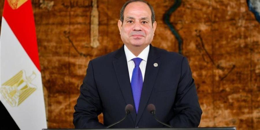 السيسي: العلاقات المصرية التنزانية تشهد تطورا في مختلف المجالات - المدينة برس