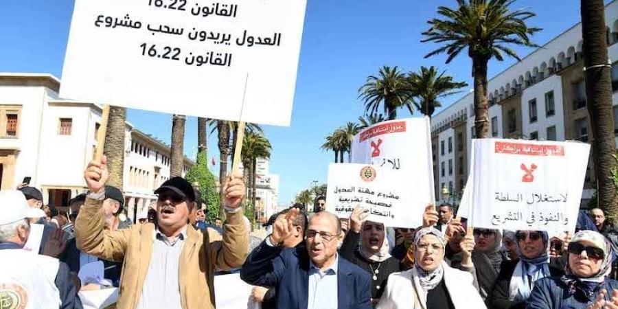 "مطالب الإصلاح" تواكب وصول قانون مهنة العدول إلى مرحلة التنفيذ - بوابة المدينة برس