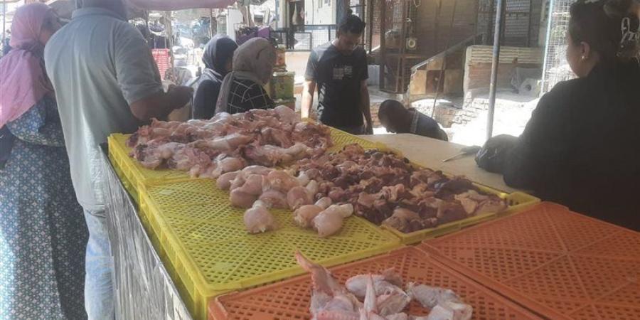 ضبط 200 كيلو دواجن محقونة بمادة لزيادة الوزن في شبرا الخيمة - المدينة برس