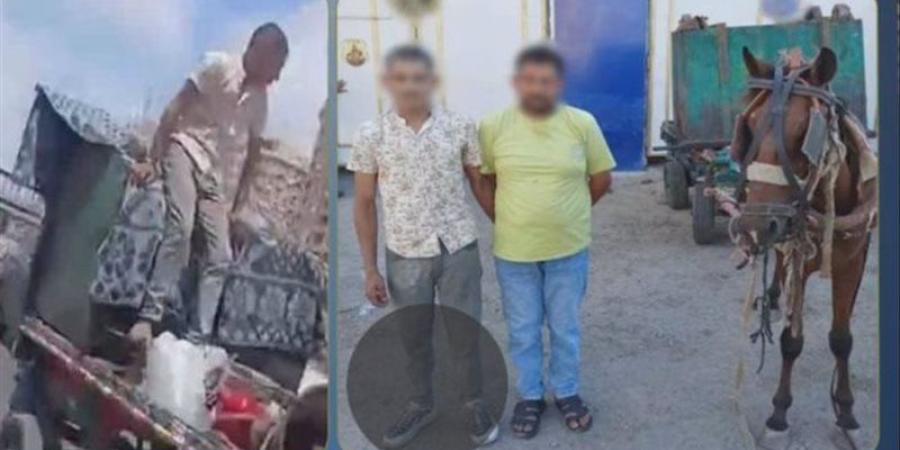 أخبار الحوادث اليوم: كواليس سقوط إمبراطور الكيف بعد غسله 250 مليون جنيه.. شهامة شاب تنقذ أسرة من الغرق.. والقصة الكاملة لميكروباص ركاب تحول لحظيرة مواشي بالبحيرة - المدينة برس