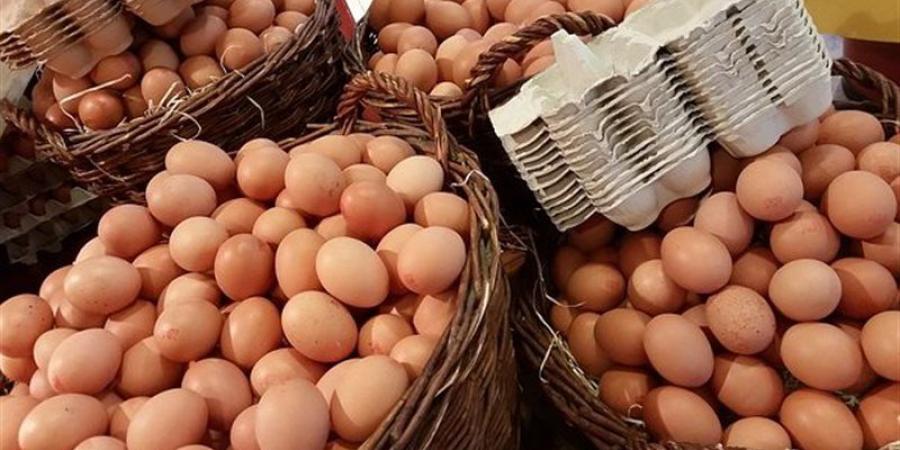 سعر كرتونة البيض اليوم الأحد في بورصة الدواجن - المدينة برس