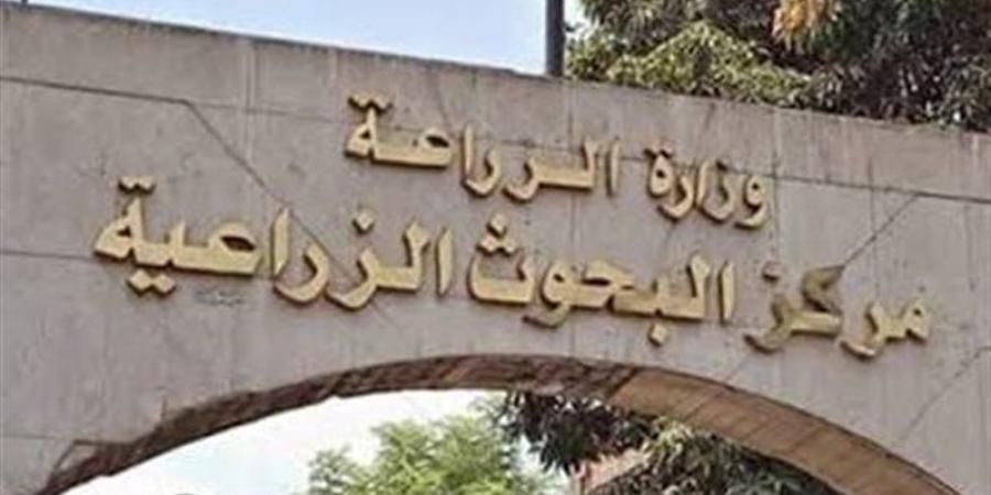 انطلاق المؤتمر الدولي الأول للتنمية المستدامة للثروة الحيوانية والداجنة والسمكية غدا - المدينة برس