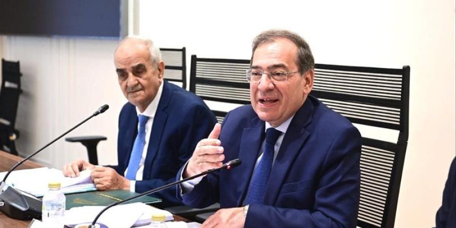 رئيس طاقة النواب: مصر تحتاج كل برميل بترول وقدم مكعب غاز لتعزيز الإنتاج - المدينة برس