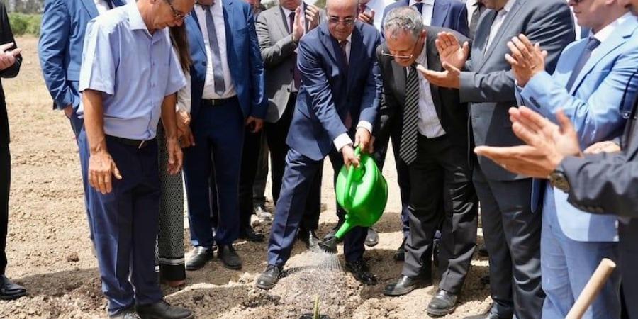 استثمارات جديدة لدعم فلاحة اللوكوس - بوابة المدينة برس