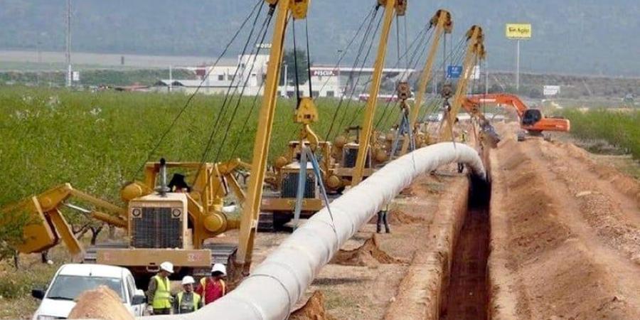 "سيدياو" مع أنبوب المغرب-نيجيريا - بوابة المدينة برس