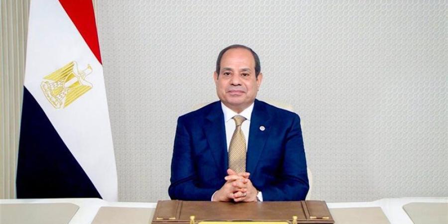 السيسي: نرفض تهجير الفلسطينيين من أرضهم ويجب إعادة إعمار غزة وإدخال المساعدات - المدينة برس