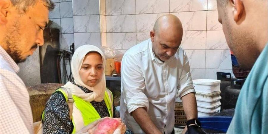 ضبط محل يحقن الدواجن بالمياه لزيادة وزنها ومصادرة طن وربع لحوم فراخ فاسدة بالقليوبية - المدينة برس