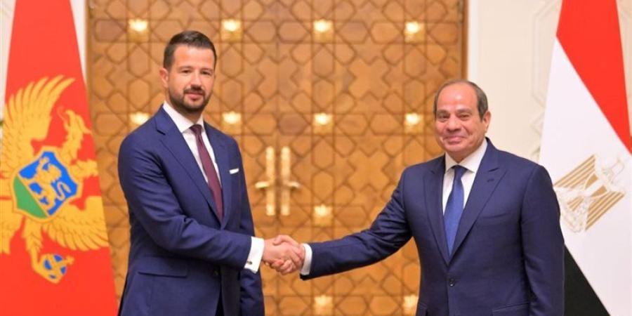 رئيس الجبل الأسود: نتطلع للاستفادة من الخبرات المصرية في السياحة والطاقة والبنية الأساسية - المدينة برس