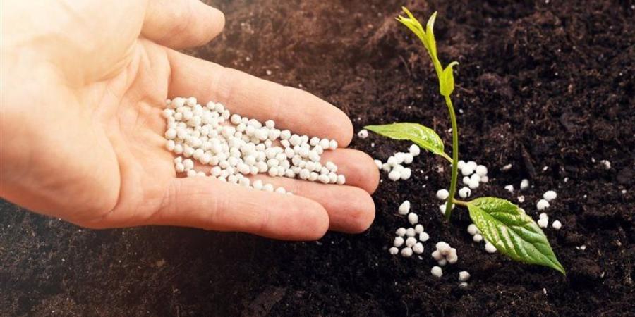 باستثناء السلفات، ارتفاع أسعار الأسمدة اليوم في الأسواق - المدينة برس