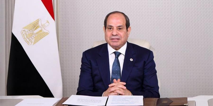 السيسي يؤكد ضرورة التوصل إلى حل عادل للقضية الفلسطينية يقوم على حل الدولتين - المدينة برس