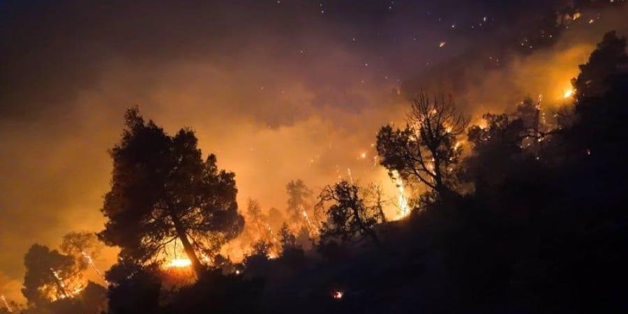 بعد أسبوع من النيران .. المغرب يحاصر أكبر الحرائق والخسائر ترتفع - بوابة المدينة برس