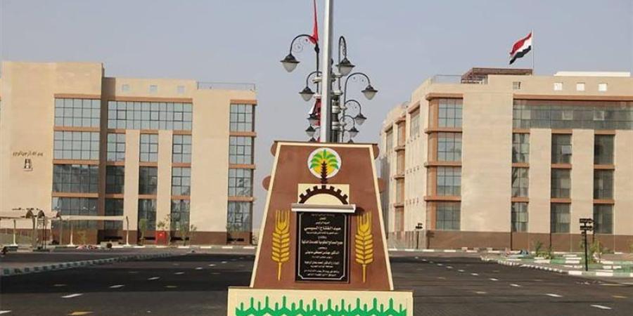 أنشطة متنوعة لمديرية العمل بالوادي الجديد لدعم التشغيل والتدريب - المدينة برس
