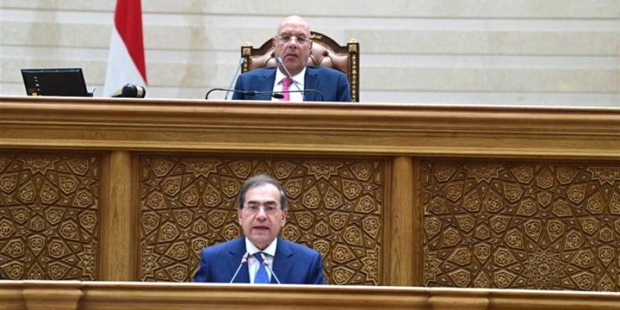 النواب يوافق على 4 مشروعات قوانين للبحث والتنقيب عن البترول والغاز - المدينة برس