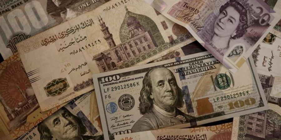 أسعار العملات الأجنبية والعربية أمام الجنيه في البنك التجاري الدولي اليوم الأربعاء - المدينة برس