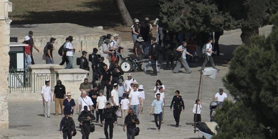 استشهاد فلسطينيين عقب حادث طعن إسرائيلي في قضاء بيت فوريك - المدينة برس