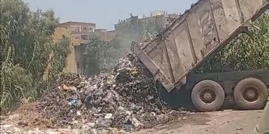 استياء بين أهالي السنطة بالغربية لقيام سيارات تابعة للوحدة المحلية بإلقاء القمامة في النيل (فيديو وصور) - المدينة برس